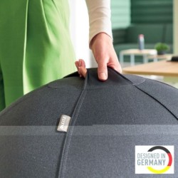 Proyector Leitz ["Ergo Active"]