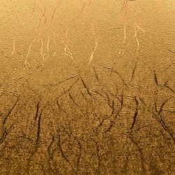 Lámina de vinilo de transferencia térmica Cricut Premium 30 x 60 cm (3 Unidades)