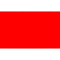 Goma Eva Fama EB24 Rojo 2 mm 2,0 mm 50 x 70 cm 10 Unidades