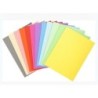 Subcarpeta Exacompta Forever Multicolor A4 100 Piezas (5 Unidades)