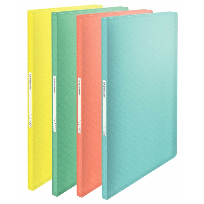 Carpeta Clasificadora Esselte ICE A4 20 Piezas