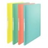 Carpeta Clasificadora Esselte ICE A4 20 Piezas