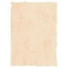 Papel pergamino Michel Beige A4 25 Piezas
