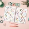 Agenda Finocam