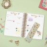 Agenda Finocam