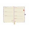 Agenda Finocam