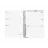 Agenda Finocam