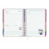 Agenda Finocam