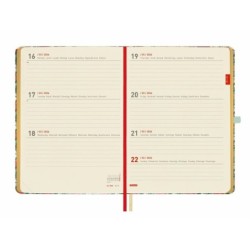 Agenda Finocam