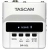 Grabadora Tascam 012-09-101 Negro
