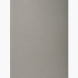 Set de Subcarpetas Exacompta Gris A4 100 Piezas (5 Unidades)