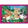 Set de Dibujo Ravensburger Creart
