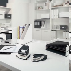 Carpeta Leitz