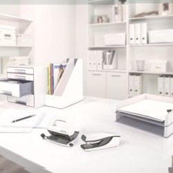 Carpeta Leitz