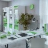 Carpeta Leitz