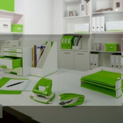 Carpeta Leitz