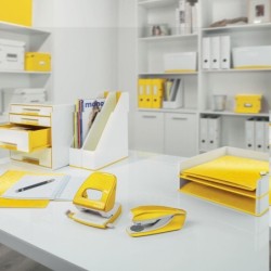 Carpeta Leitz