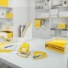 Carpeta Leitz